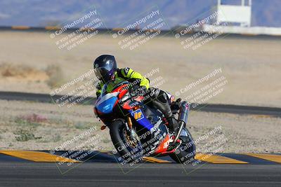 media/Feb-04-2023-SoCal Trackdays (Sat) [[8a776bf2c3]]/Turn 4 (Tree of Life 2pm)/